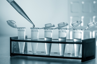 In-Depth Gut Microbiome Analysis